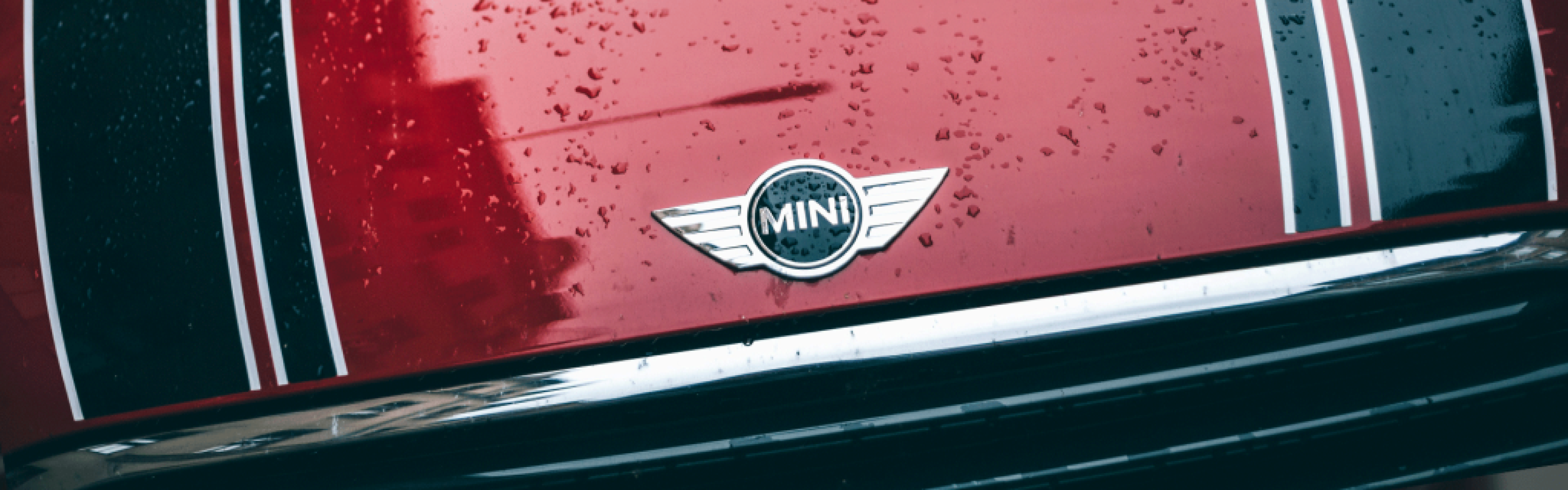 Mini Tutkunları İçin Özel Bakım