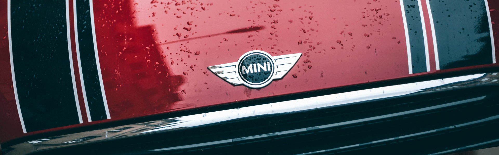 Mini Özel Servisi görseli